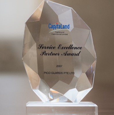CapitaLand - Excellent Service Partner Award