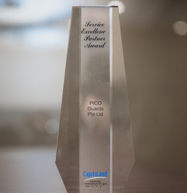 CapitaLand - Service Excellent Partner Award